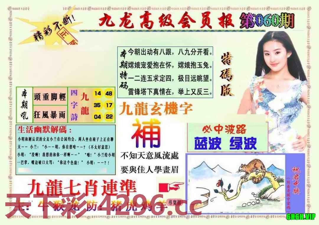 九龙高级会员报